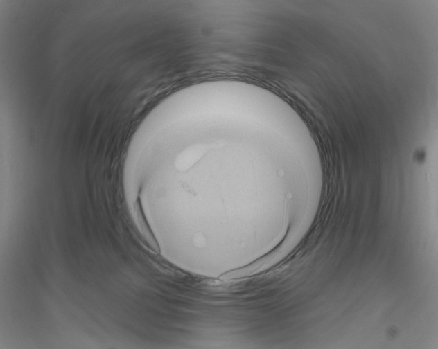 X0000116870088201002021136