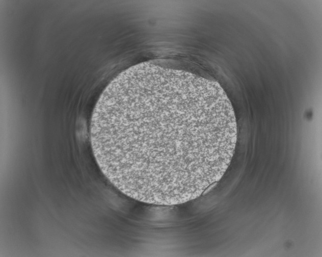 X0000116870089201002021136