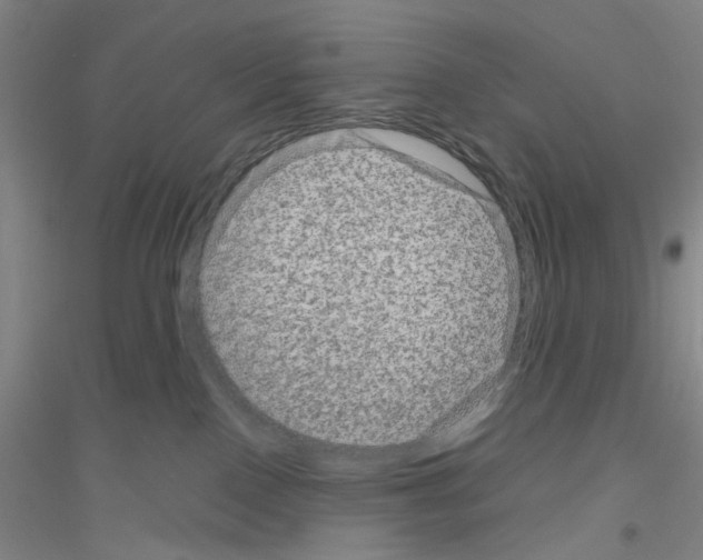 X0000116870090201002021136