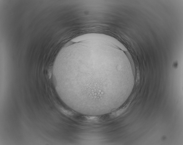 X0000116870091201002021136