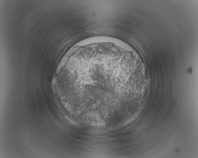 X0000116870095201002021136