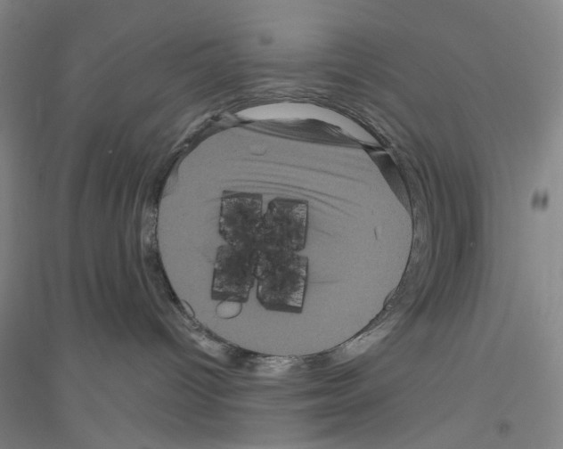 X0000116870096201002021136