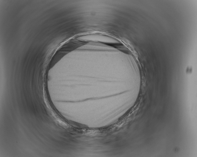 X0000116870097201002021135