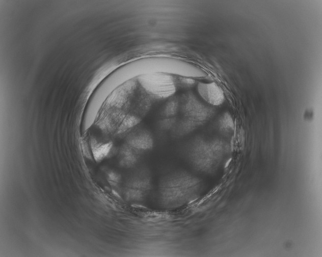 X0000116870099201002021135