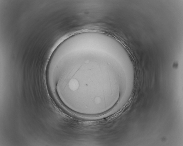 X0000116870100201002021135