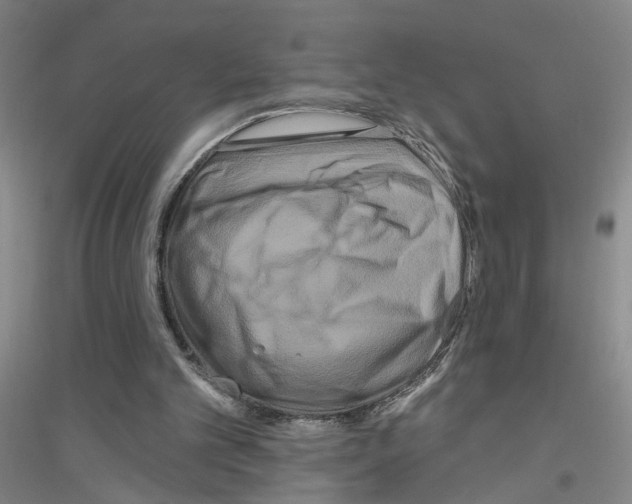 X0000116870101201002021135