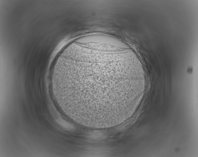 X0000116870102201002021135