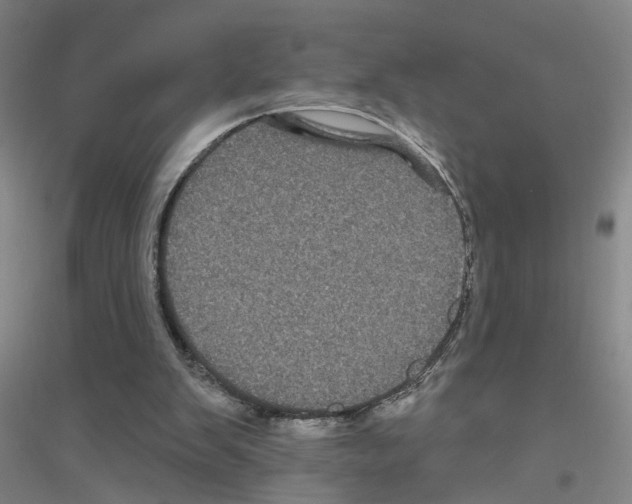 X0000116870103201002021135