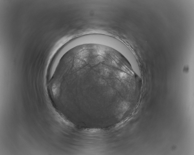 X0000116870104201002021135