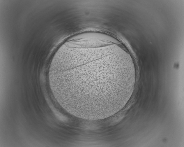 X0000116870106201002021135