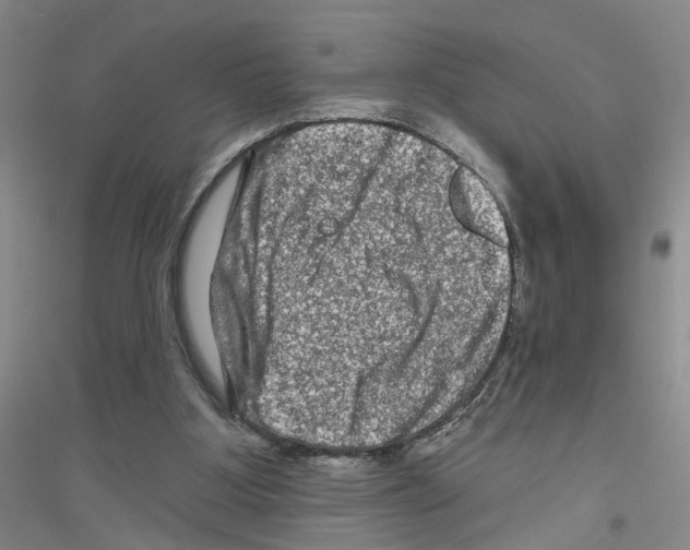 X0000116870107201002021135