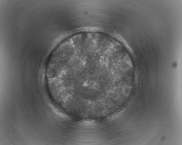 X0000116870110201002021135
