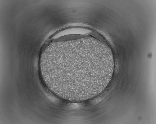 X0000116870111201002021135