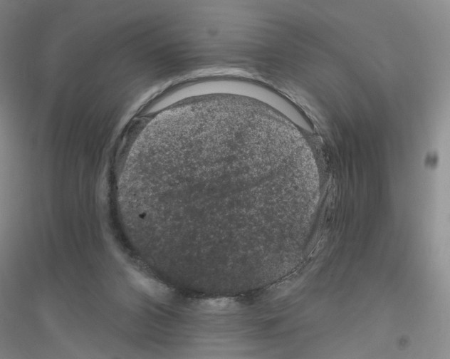 X0000116870112201002021135
