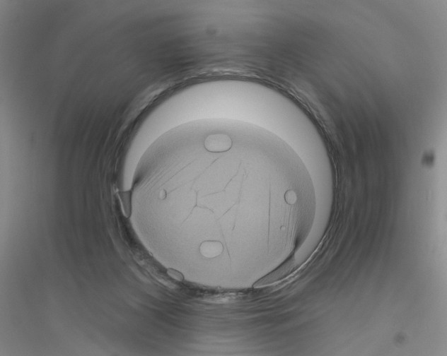 X0000116870116201002021135