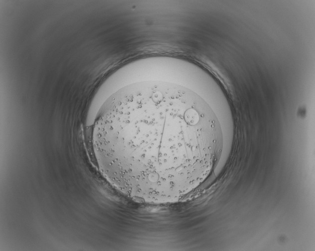 X0000116870117201002021135