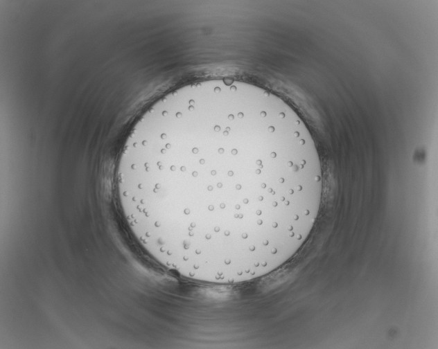 X0000116870118201002021135