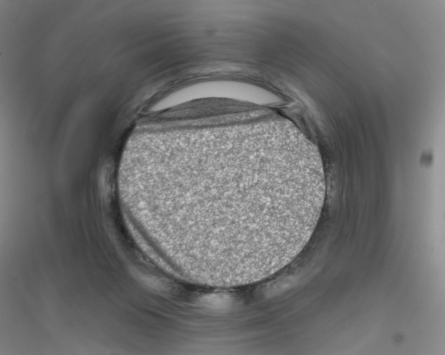X0000116870119201002021135