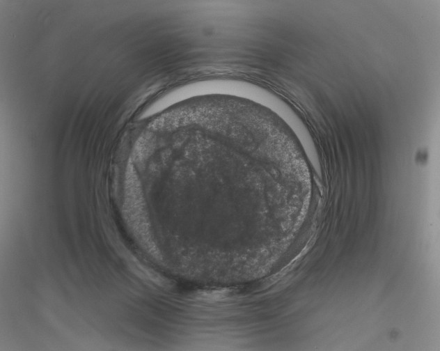 X0000116870120201002021135