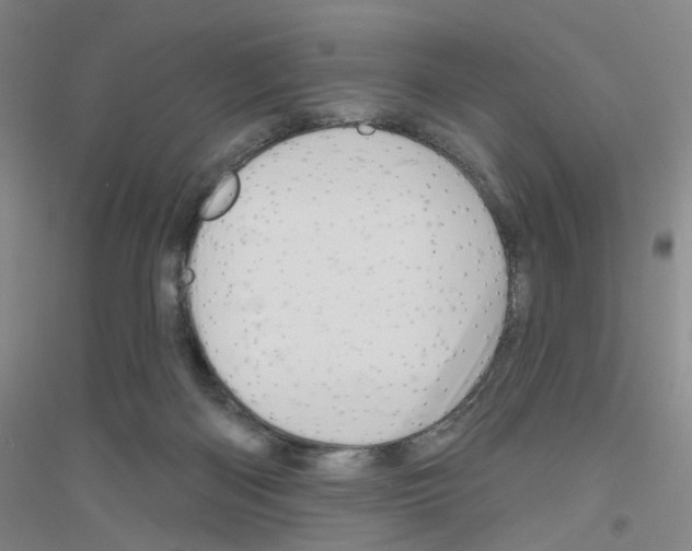 X0000116870122201002021135