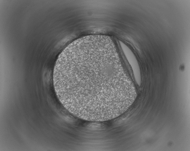 X0000116870123201002021135
