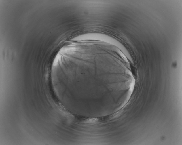 X0000116870124201002021135
