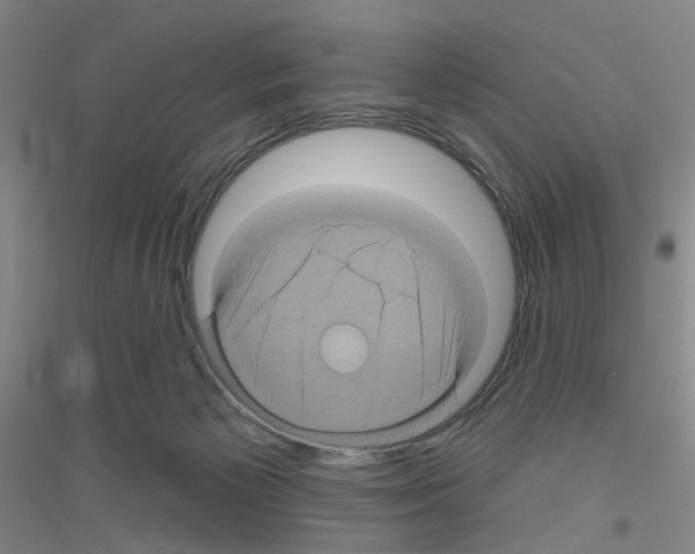 X0000116870125201002021135