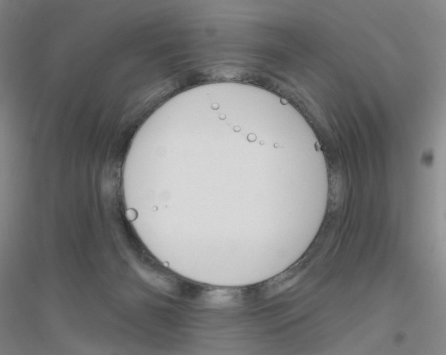 X0000116870126201002021135