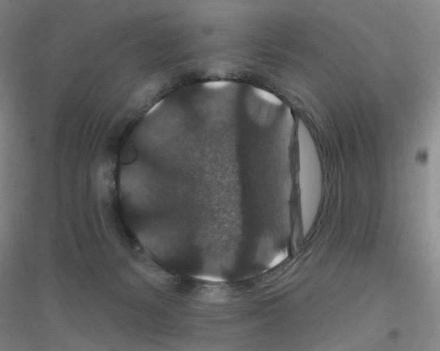 X0000116870127201002021135