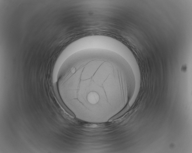 X0000116870129201002021135