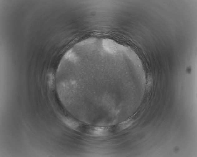 X0000116870130201002021135