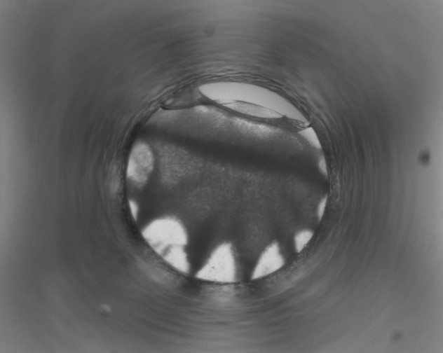 X0000116870131201002021135