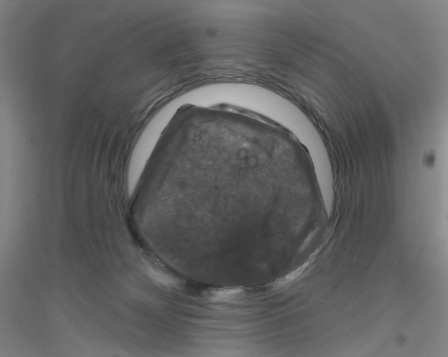X0000116870132201002021135