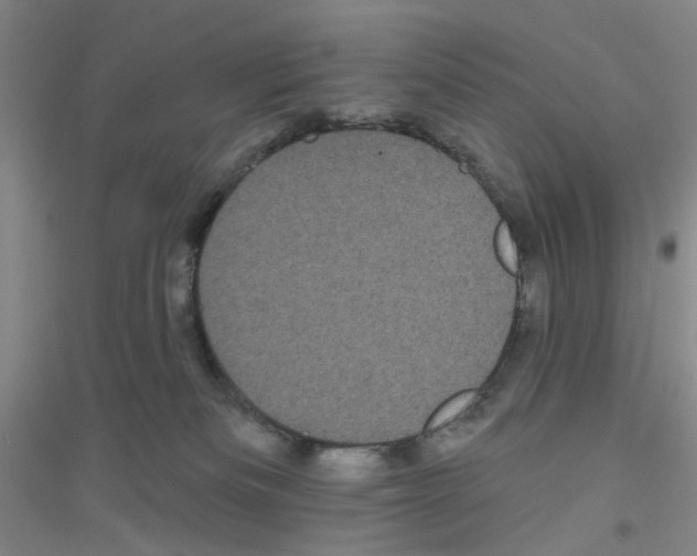 X0000116870133201002021135