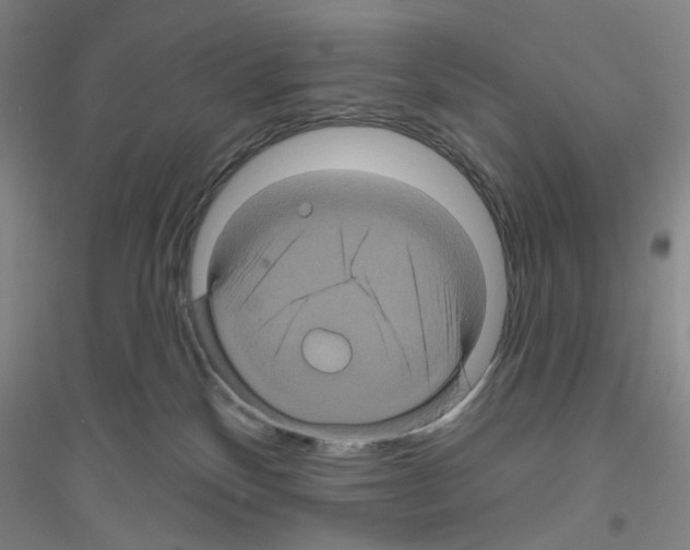 X0000116870136201002021135