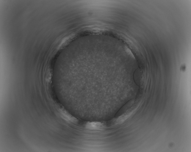 X0000116870137201002021135