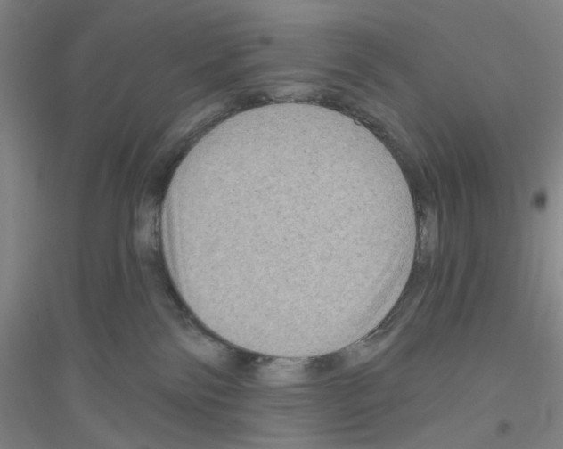 X0000116870138201002021135