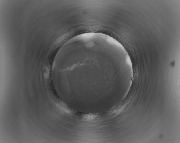 X0000116870139201002021135