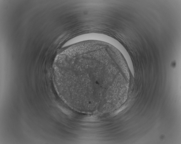 X0000116870140201002021135