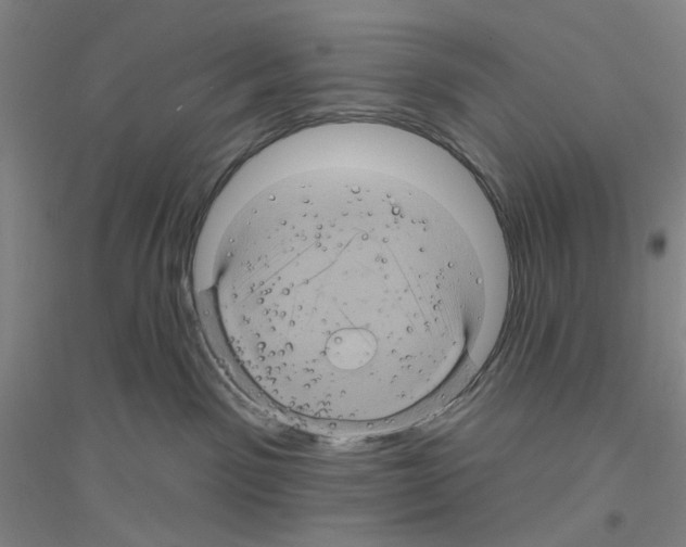 X0000116870141201002021135