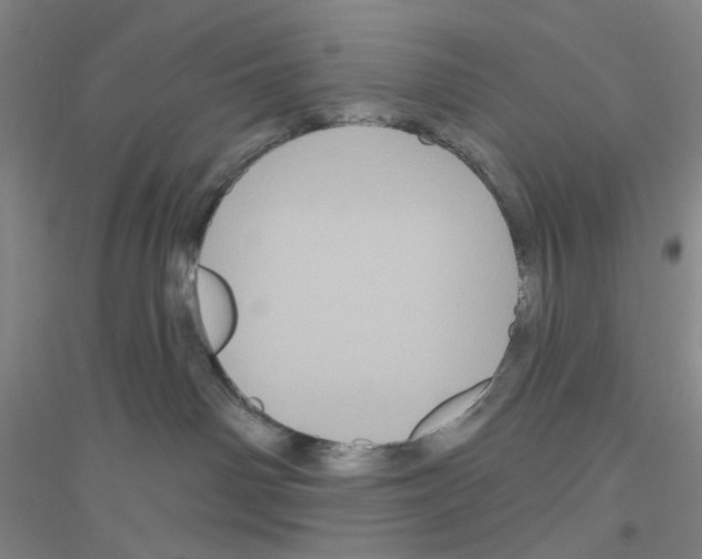 X0000116870142201002021135