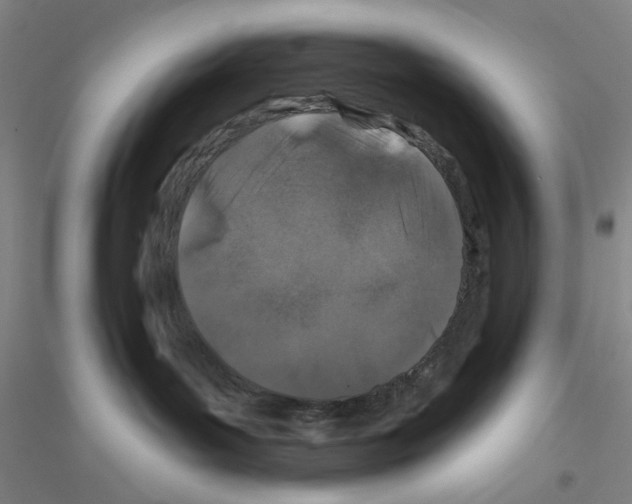 X0000116870143201002021135