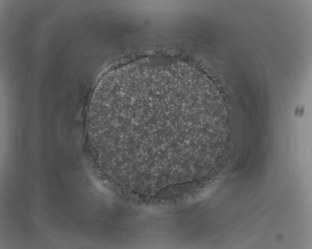 X0000116870144201002021135