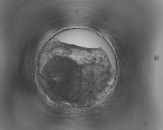 X0000116870145201002021134
