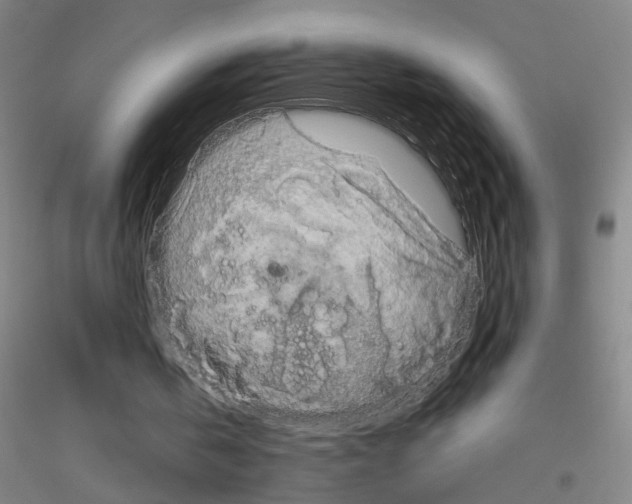 X0000116870146201002021134