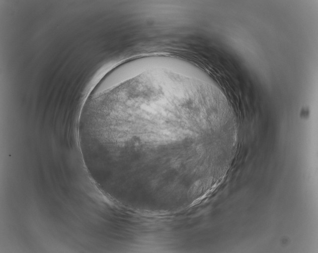 X0000116870147201002021134
