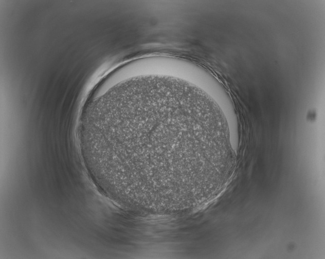X0000116870150201002021134