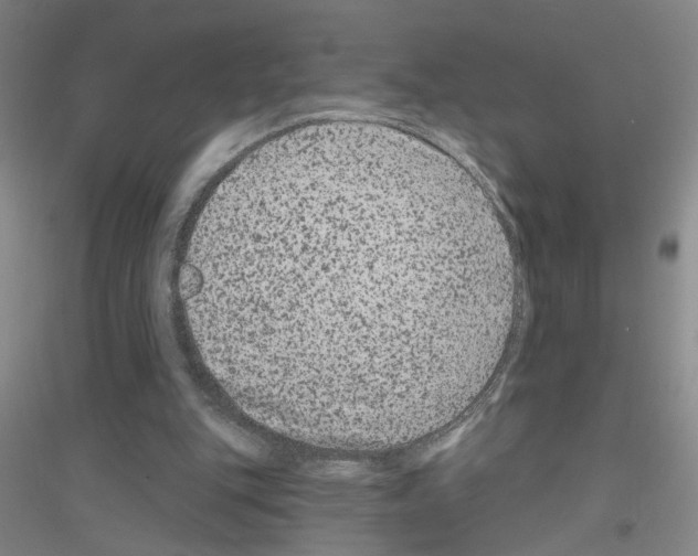 X0000116870151201002021134