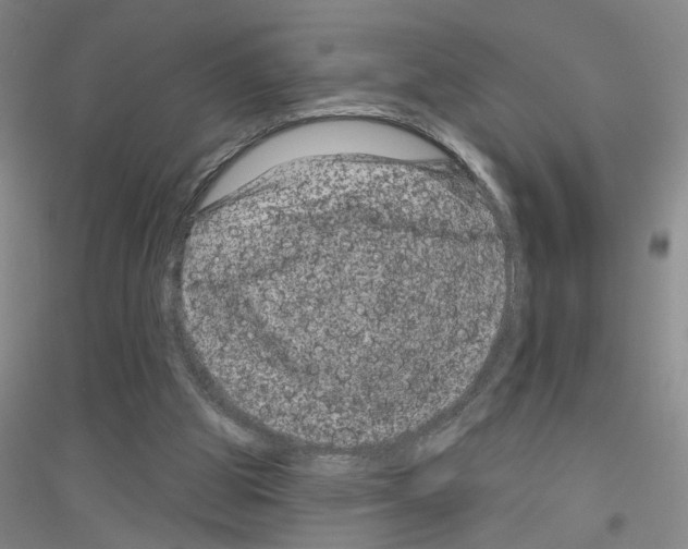 X0000116870153201002021134