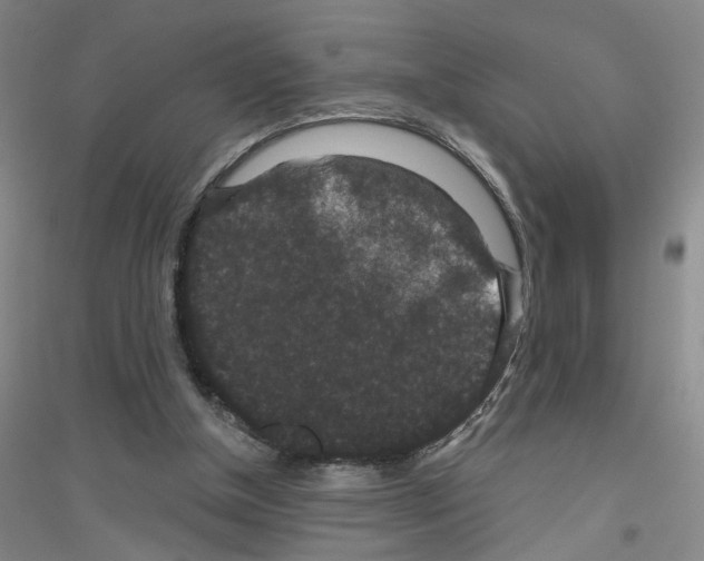 X0000116870154201002021134